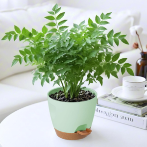 planters for indoor plants with drainage holes and removable base,modern decorative for outdoor garden planters