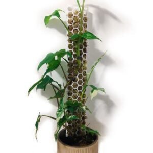 plastic moss pole indoor plant extension poles for climbing plants support pole